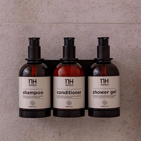 Nh Bingen 4* 빈겐암라인