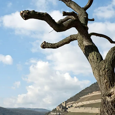 Nh Bingen Bingen am Rhein