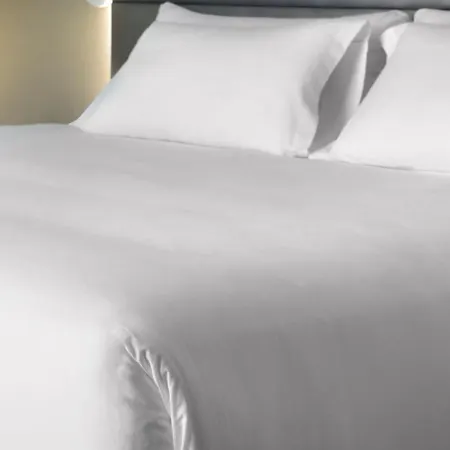 Nh Bingen ビンゲン・アム・ライン