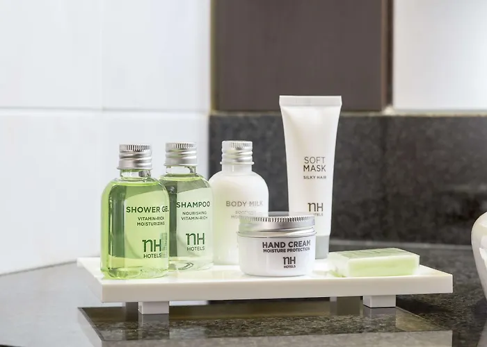 Nh Bingen 4* ビンゲン・アム・ライン