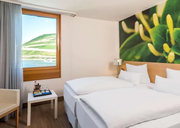 Hotel Nh Bingen