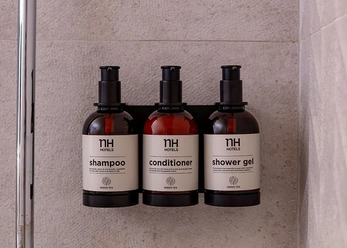 Nh Bingen 4* Bingen am Rhein