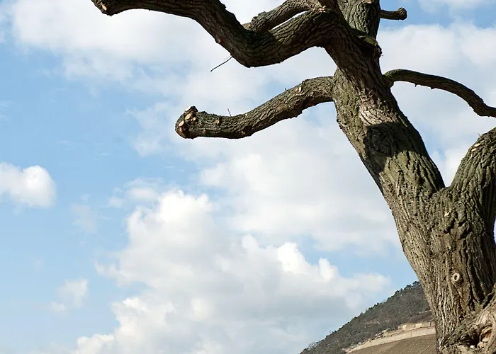 Nh Bingen Bingen am Rhein